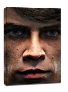 Face It! Star Wars Gwiezdne Wojny - Luke Skywalker - obraz na płótnie Wymiar do wyboru: 60x80 cm - Obrazy i zdjęcia na płótnie - miniaturka - grafika 1