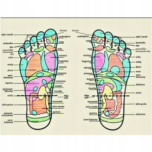 Drewniany masażer do stóp roller Mięśni MASUJĄCY do MASAŻU Akupresury - Masażery Drewniany masażer do stóp roller Mięśni MASUJĄCY do MASAŻU Akupresury - Masażery - miniaturka - grafika 1