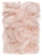Pasmanteria - DpCraft Piórka 5-12 cm, 10 g, nude, beżowe, DPCraft - miniaturka - grafika 1