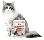 Mokra karma dla kotów - Royal Canin Ageing +12 Cat 24x85g saszetka sos) 16500-uniw - miniaturka - grafika 1