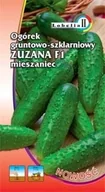Nasiona i cebule - Ogórek szklarniowy Zuzana 2g / L / - miniaturka - grafika 1