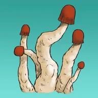 Nasiona i cebule - Mykożerca Growkit MVP - miniaturka - grafika 1