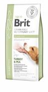 Sucha karma dla psów - Brit VET Brit Veterinary Diet Diabetes Turkey&Pea Sucha Karma dla psa op 12kg - miniaturka - grafika 1