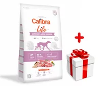 Sucha karma dla psów - Calibra Dog Life Junior Large Breed Lamb 12 kg + Niespodzianka dla psa GRATIS - miniaturka - grafika 1