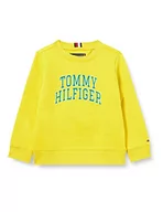 Bluzy męskie - Tommy Hilfiger Męska bluza z kapturem Hilfiger Artwork, Dolina Żółta, 74 - miniaturka - grafika 1