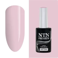 Lakiery hybrydowe - Lakier Hybrydowy Ntn Premium Ambrosia 5G Nr 159 - miniaturka - grafika 1