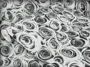 Tapety - Dekoracyjna Okleina Meblowa Szare Róże Na Meble Regał Szafkę 45x200 - miniaturka - grafika 1