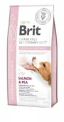 Sucha karma dla psów - Brit VET Brit Veterinary Diet Hypoallergenic Salmon&Pea Sucha Karma dla psa op 2kg - miniaturka - grafika 1