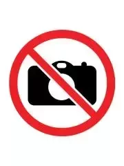 Kredki trójkątne Jumbo Safari 10 kolorów KIDEA - DERFORM - Kredki, ołówki, pastele i pisaki - miniaturka - grafika 1