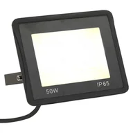 Lampy pozostałe - vidaXL Naświetlacz Reflektor LED 50 W ciepłe białe światło 149611 - miniaturka - grafika 1