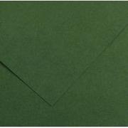 Szkolne artykuły papiernicze - Canson Brystol karton kolorowy Iris B2 50x70 cm zielony - miniaturka - grafika 1