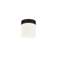 Lampy sufitowe - Nowodvorski Cayo lampa sufitowa 1-punktowa czarna 8055n 8055n - miniaturka - grafika 1