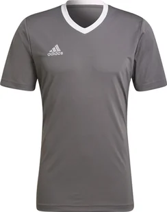 Adidas Koszulka adidas ENTRADA 22 JSY Y HE1574 HE1574 szary M - Koszulki męskie - miniaturka - grafika 1