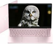Laptopy - HP Limitowany Intel N 16GB 128GB Intel UHD Graphics HD Win 11 Różowy - miniaturka - grafika 1