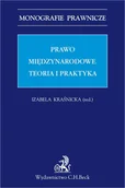 E-booki - prawo - Prawo międzynarodowe. Teoria i praktyka - miniaturka - grafika 1