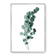 Plakaty - Dekoria Dekoria Plakat Eucalyptus Emerald Green 50 x 70 cm Ramka Srebrna 222G-000-02 - miniaturka - grafika 1