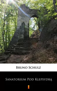 Sanatorium Pod Klepsydrą - E-booki - literatura faktu - miniaturka - grafika 1