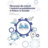 Archeologia - Wyzwania dla małych i $8rednich przedsiębiorstw w Polsce i w Europie - miniaturka - grafika 1