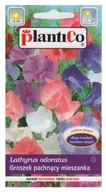 Nasiona i cebule - Plantico Groszek pachnący mix - miniaturka - grafika 1