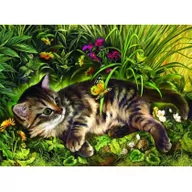 Puzzle - SunsOut Puzzle 1000 Zabawa kotka w ogrodzie - miniaturka - grafika 1