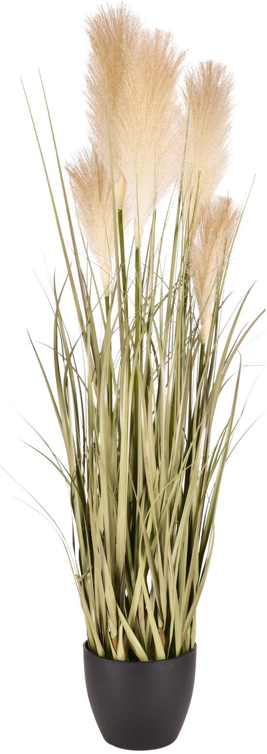 Direct Home and Garden Sztuczna roślina w doniczce z brązowymi pomponami 50cm