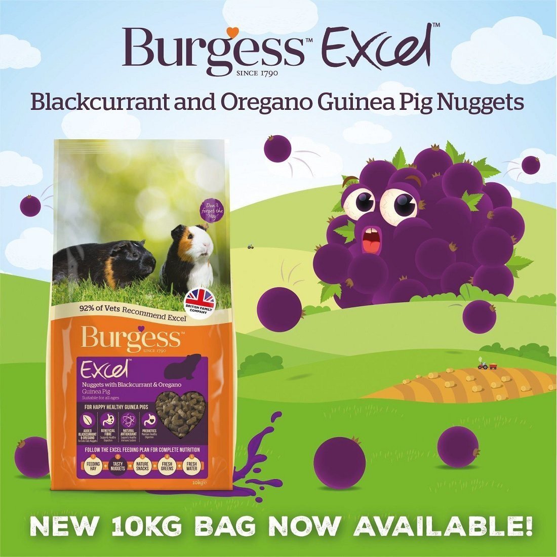 Burgess Burgess - Guinea Pig Nuggets with Blackcurrant and Oregano - 10 kg 40018