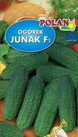 Nasiona i cebule - Ogórek gruntowy Junak 3 g POLAN - miniaturka - grafika 1