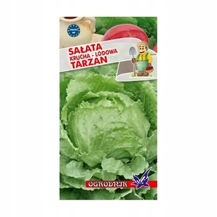 Sałata krucha Tarzan 1g / O / - Nasiona i cebule - miniaturka - grafika 1