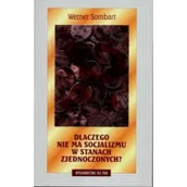 Filozofia i socjologia - Dlaczego nie ma socjalizmu w Stanach Zjednoczonych? - miniaturka - grafika 1