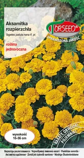 Nasiona Aksamitka rozpierzchła niska żółta 1g - Torseed - Nasiona i cebule - miniaturka - grafika 1