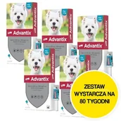 Artykuły przeciw pasożytom - Krople na pchły i kleszcze BAYER Advantix Spot-on Małe psy (4-10 kg) 20 x 1 ml - miniaturka - grafika 1