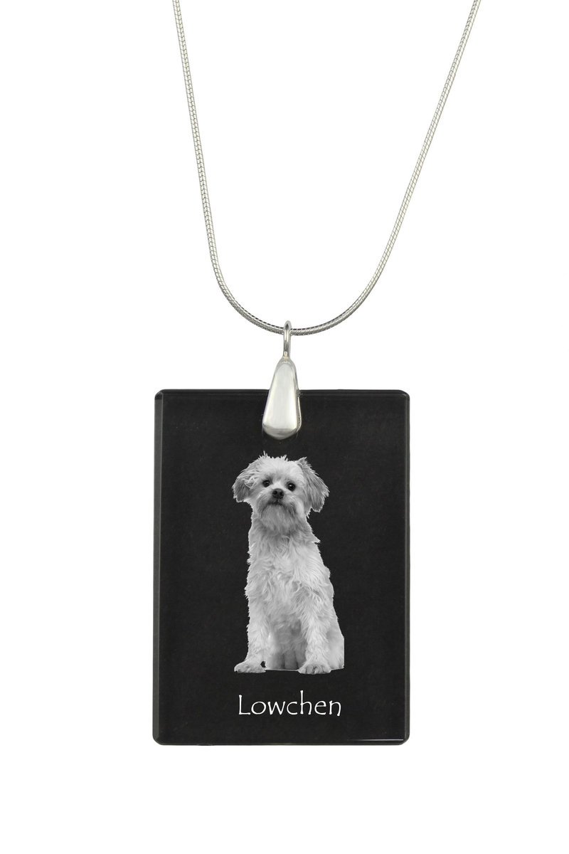 Lwi piesek, Lowchen - kryształowa zawieszka z psem, srebrny naszyjnik ze zdjęciem, personalizowany wisiorek marki Art-Dog