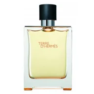 Wody i perfumy męskie - Hermes Terre D'Hermes woda toaletowa spray 100ml - - miniaturka - grafika 1