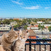 Pozostałe akcesoria dla kotów - Ferplast Siatka ochronna dla kota, 800x300 cm, nylon, rozmiar XL - miniaturka - grafika 1