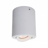 Lampy sufitowe - Italux Spot LAMPA sufitowa LUCIA IT8004R1-WH minimalistyczna OPRAWA metalowa tuba downlight biała IT8004R1-WH - miniaturka - grafika 1