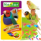 Karma dla ptaków - NESTOR Witaminy na Piórka Mała Egzotyka – Mieszanka ziaren - miniaturka - grafika 1