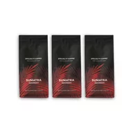 Kawa - Zestaw kawy ziarnistej Specialty Indonesia Sumatra, 3 x 250 g - miniaturka - grafika 1