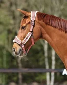 Kantary dla koni - Kantar z podszyciem Classy - QHP - miniaturka - grafika 1