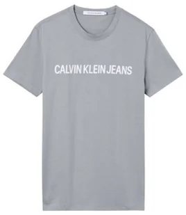 Koszulka z krótkim rękawem t shirt CALVIN KLEIN JEANS szara - Koszulki męskie Koszulka z krótkim rękawem t shirt CALVIN KLEIN JEANS szara - Koszulki męskie - miniaturka - grafika 1