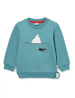 Bluzy dla chłopców - sigikid Mini bluza chłopięca Polar Expedition, turkusowy, 104 - grafika 1