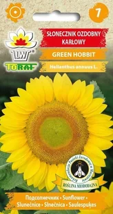 Słonecznik ozdobny Green Hobbit 1g / T / - Nasiona i cebule - miniaturka - grafika 1