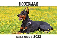 Pozostałe książki - Doberman - miniaturka - grafika 1