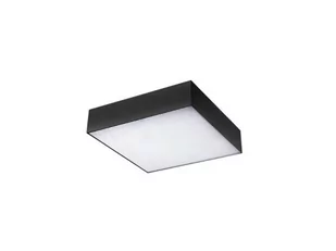 Azzardo Plafon MONZA Square 40 SHS574000-50-BK - Lampy sufitowe - miniaturka - grafika 1