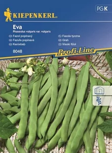 Kiepenkerl Fasola tyczna Eva 102037 - Nasiona i cebule - miniaturka - grafika 1