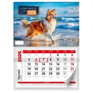 Kalendarze - Kalendarz 2026 ścienny miesięczny lux - miniaturka - grafika 1