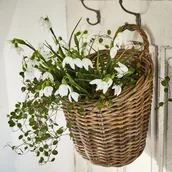 Pudła i pojemniki do przechowywania - Kosz Korovu - miniaturka - grafika 1