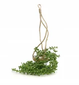 Sztuczne kwiaty - Sztuczny Kwiaty W Doniczce Do Zawieszenia - miniaturka - grafika 1