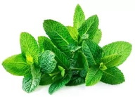 Akcesoria jeździeckie - EQUIHERBS Mięta 0,5 kg - miniaturka - grafika 1