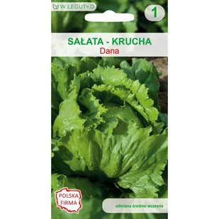 Sałata krucha Dana nasiona W.Legutko - Nasiona i cebule Sałata krucha Dana nasiona W.Legutko - Nasiona i cebule - miniaturka - grafika 1