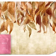 Fototapety - FOTOTAPETA DO SALONU JESIENNE LIŚCIE NATURA MUR BETON STYL VINTAGE 500x350 - miniaturka - grafika 1